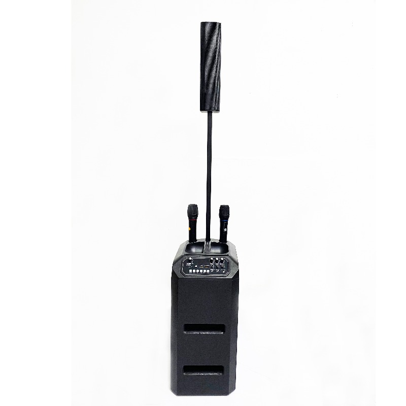 ลำโพงกลางแจ้งแบบตั้งพื้น ลำโพง - Outdoor Power Line บทวิจารณ์และราคา