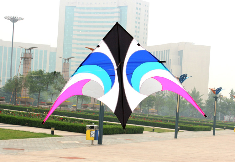 กลางแจ้งสนุกกีฬาใหม่ 2.8 M Pow - Outdoor Power Line บทวิจารณ์และราคา
