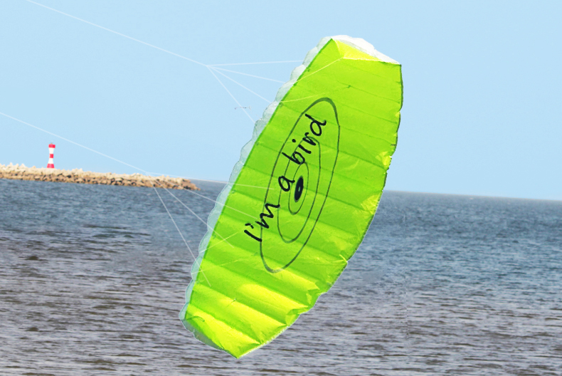 กีฬาบินว่าวกลางแจ้งแบบใหม่ ขนา - Outdoor Power Line บทวิจารณ์และราคา