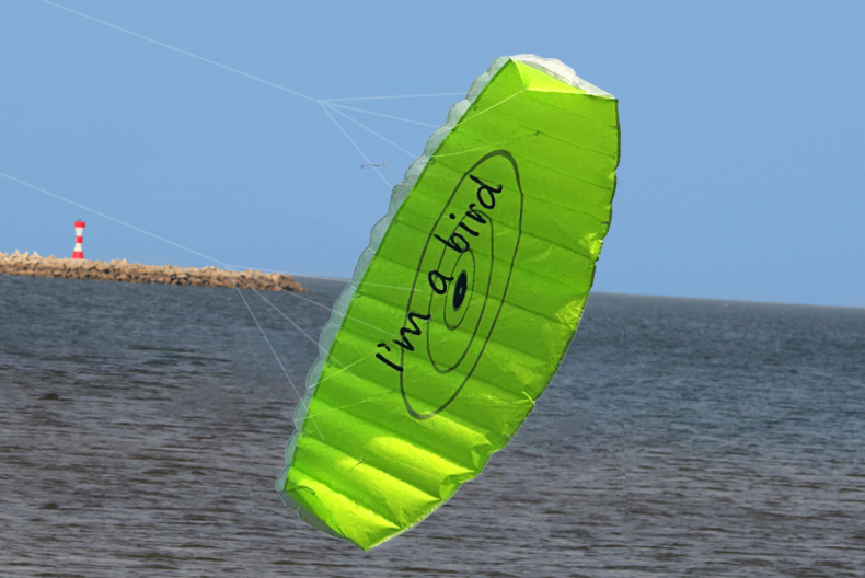 กีฬาบินว่าวกลางแจ้งแบบใหม่ ขนา - Outdoor Power Line บทวิจารณ์และราคา